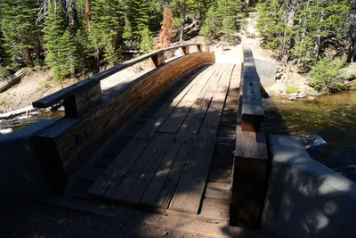 DSC_9889 (Large).JPG